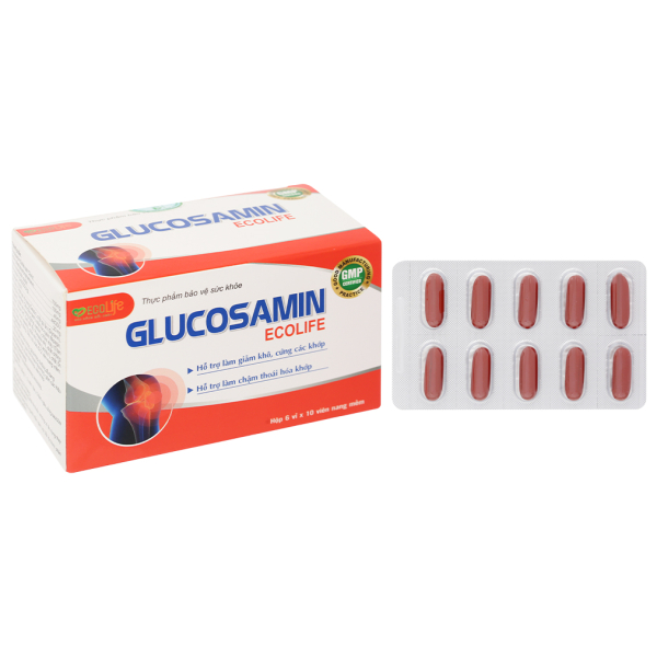 Glucosamin Ecolife hỗ trợ tăng tiết dịch khớp hộp 60 viên