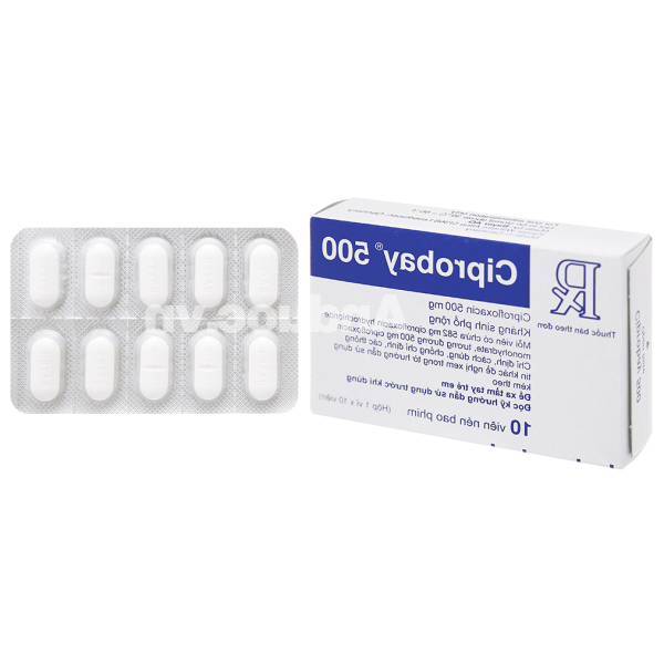 Ciprobay 500 trị nhiễm khuẩn (1 vỉ x 10 viên)