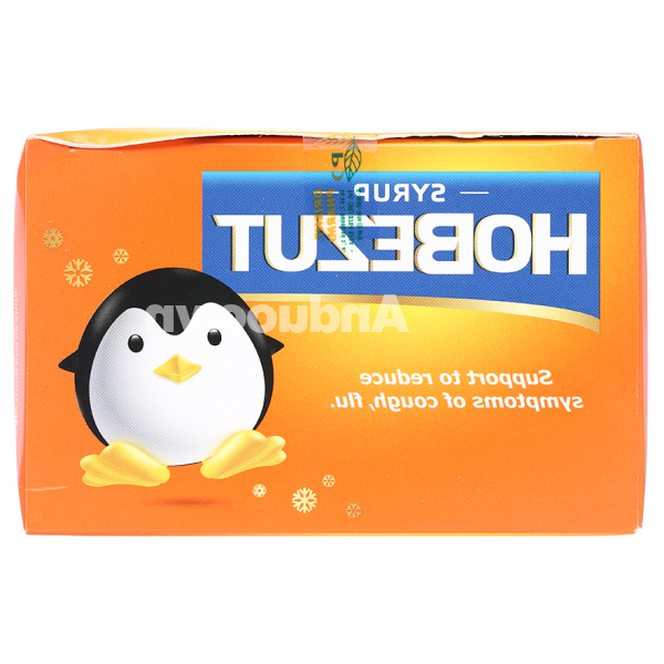 Siro HoBezut hỗ trợ giảm ho, bổ phổi hộp 20 gói x 5ml