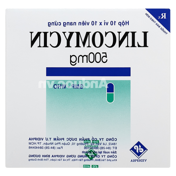 Lincomycin Vidipha 500mg trị nhiễm khuẩn nặng (10 vỉ x 10 viên)