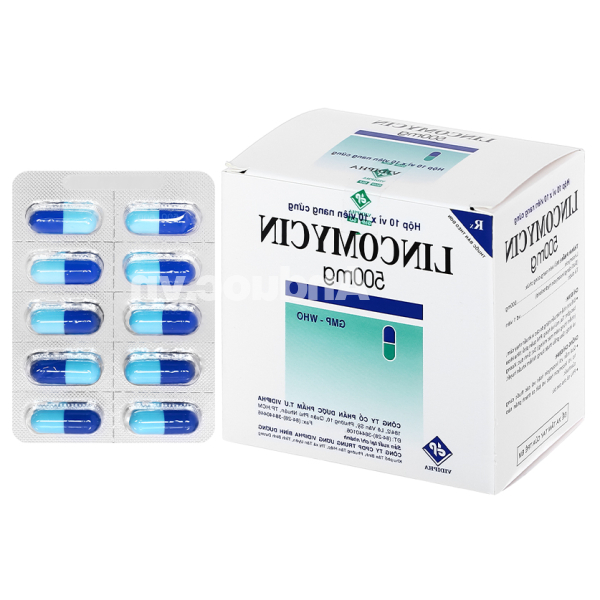Lincomycin Vidipha 500mg trị nhiễm khuẩn nặng (10 vỉ x 10 viên)
