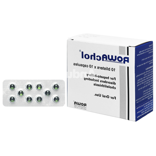 Rowachol trị sỏi đường mật (10 vỉ x 10 viên)