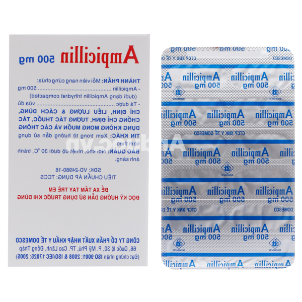 Ampicillin Domesco 500mg trị nhiễm khuẩn (10 vỉ x 10 viên)
