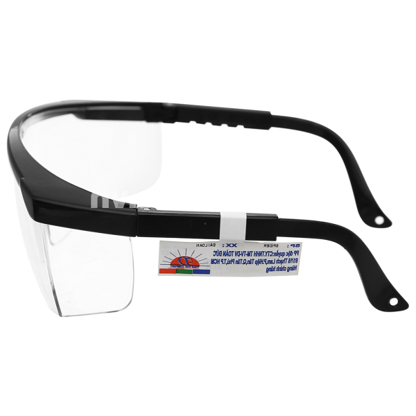 Kính bảo hộ Spider S3006-C13