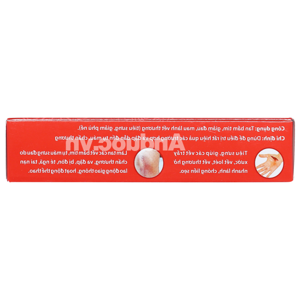 Long Huyết P/H trị sưng đau, bầm tím (2 vỉ x 12 viên)