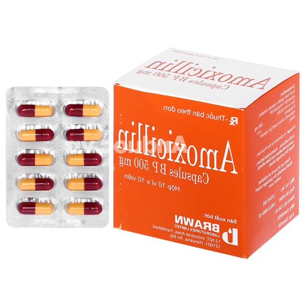 Amoxicillin Brawn 500mg trị nhiễm khuẩn (10 vỉ x 10 viên)