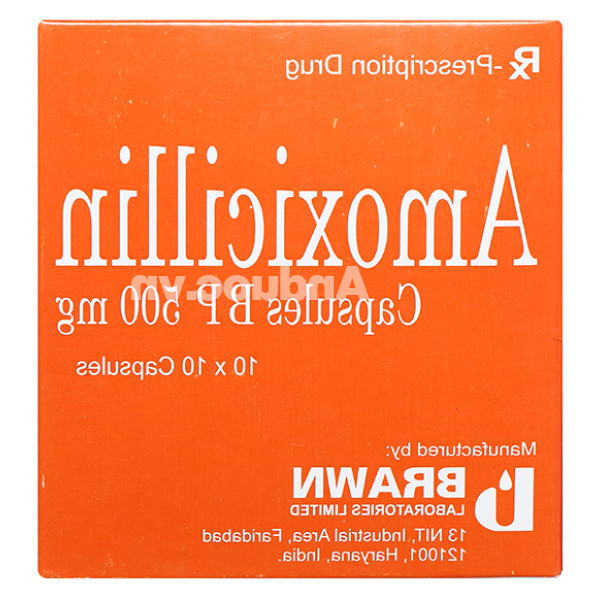 Amoxicillin Brawn 500mg trị nhiễm khuẩn (10 vỉ x 10 viên)