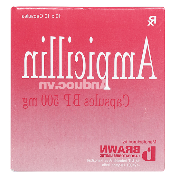 Ampicillin Brawn 500mg trị nhiễm khuẩn (10 vỉ x 10 viên)