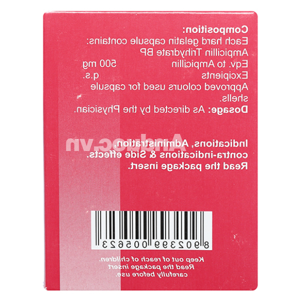 Ampicillin Brawn 500mg trị nhiễm khuẩn (10 vỉ x 10 viên)