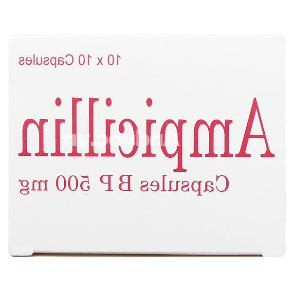 Ampicillin Brawn 500mg trị nhiễm khuẩn (10 vỉ x 10 viên)