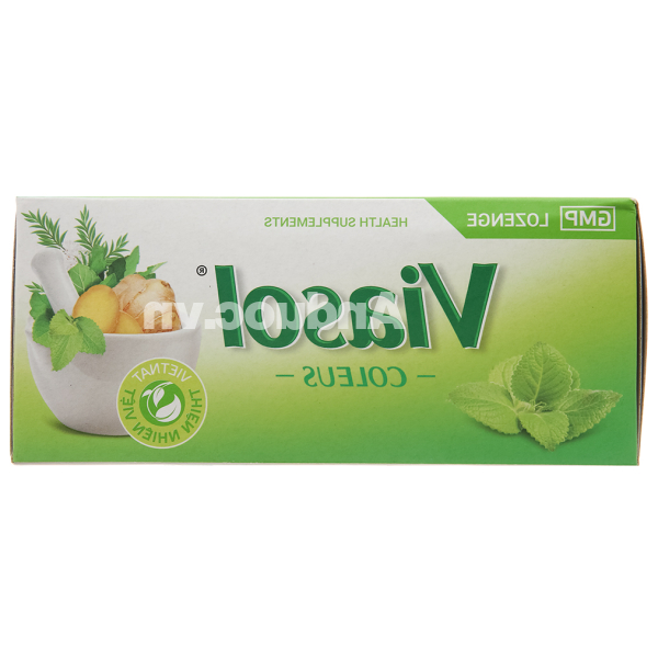 Viên ngậm Viasol Húng Chanh hỗ trợ giảm ho, đau rát họng hộp 100 viên