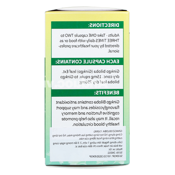 Progetic Ginkgo Biloba 750mg tăng cường lưu thông máu não chai 90 viên