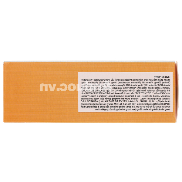 Livolin Forte hỗ trợ trị các bệnh lý về gan (3 vỉ x 10 viên)