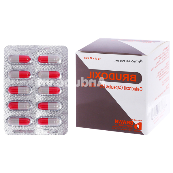 Brudoxil 500mg trị nhiễm khuẩn đường tiết niệu (10 vỉ x 10 viên)