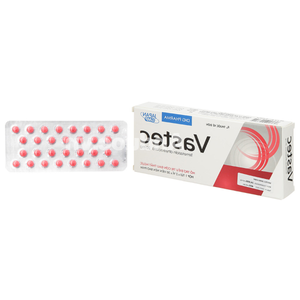 Vastec 20mg hỗ trợ trị đau thắt ngực (2 vỉ x 30 viên)