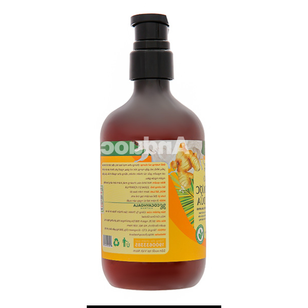 Dầu gội Thảo dược Gừng dừa Cocay Hoala sạch gàu, giảm gãy rụng chai 440g