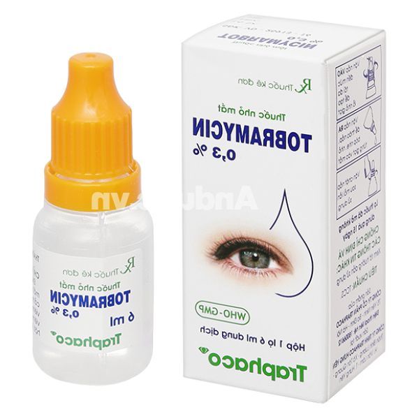 Dung dịch nhỏ mắt Tobramycin 0,3% trị các bệnh nhiễm khuẩn mắt lọ 6ml