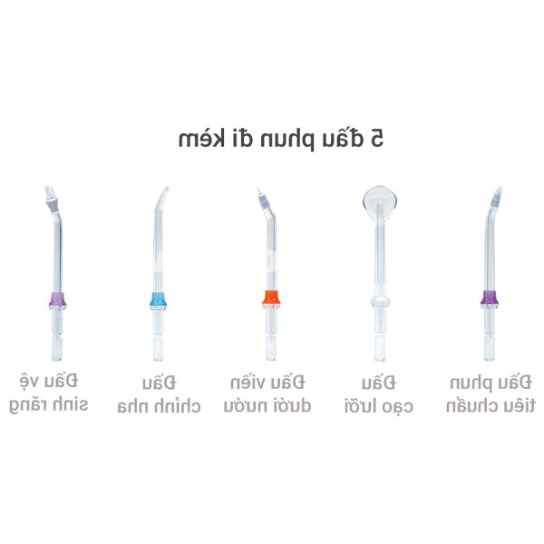 Máy tăm nước di động Gluck BPF-01